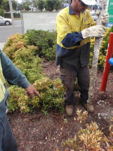 Cathodic Protection Repairs - Town & Country Energy Solutions