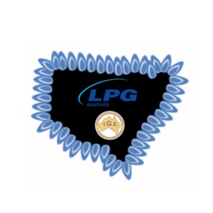 2011 LPG SAFETY INITIATIVE AWARD